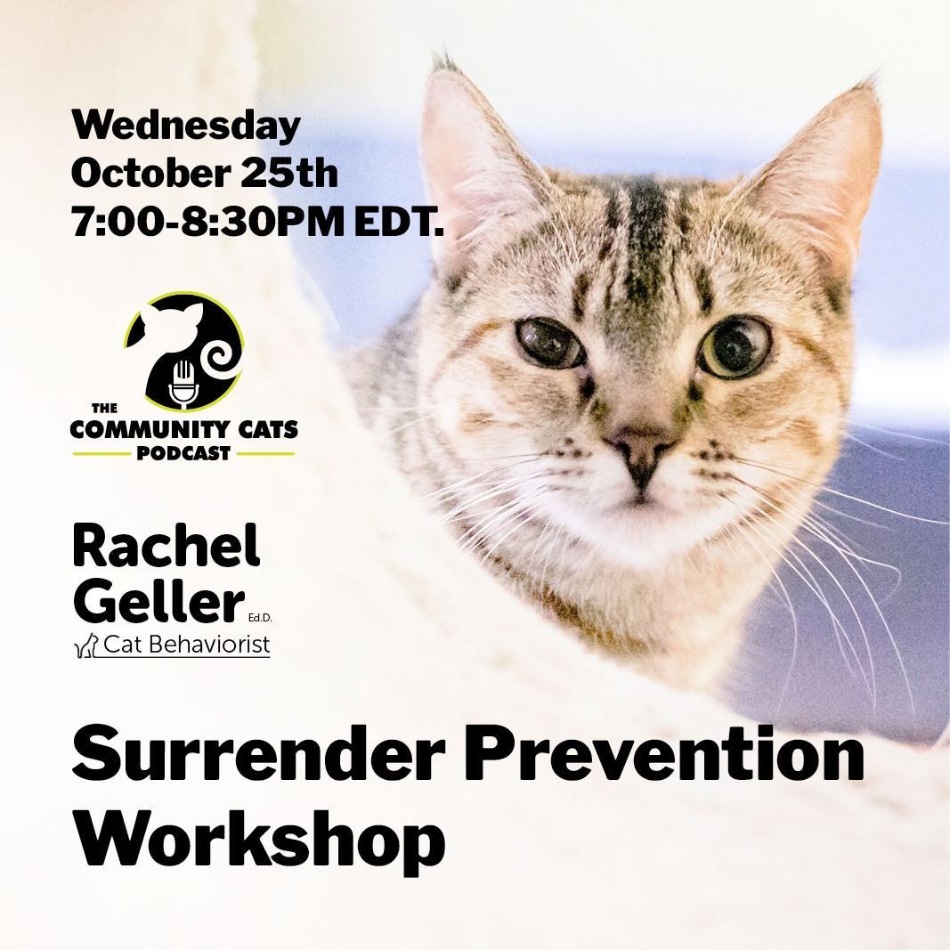 Surrender Prevention Workshop Flyer